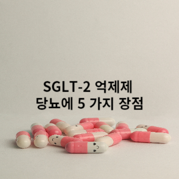 SGLT-2 억제제 당뇨에 5 가지 장점