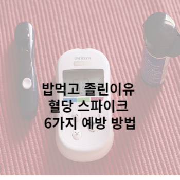 밥먹고 졸린이유 혈당 스파이크 6가지 예방 방법