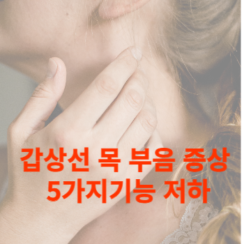 갑상선 목 부음 증상과 5가지기능 저하