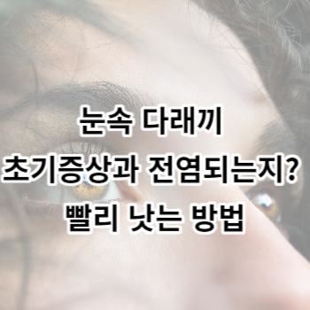 눈속 다래끼 초기증상과 전염되는지? 빨리 낫는 방법