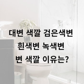 대변 색깔 검은색변 흰색변 녹색변 변 색깔 이유는?