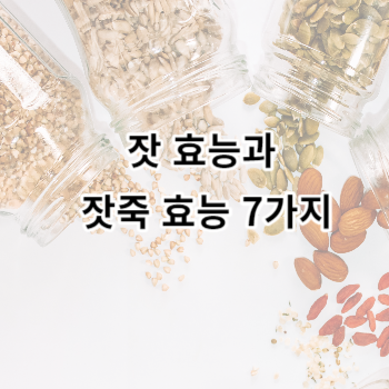 잣 효능과 부작용 잣죽 효능 7가지 