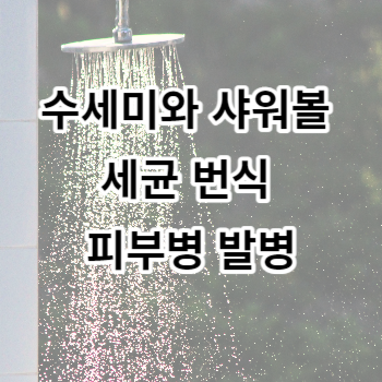 수세미와 샤워볼 세균 번식 피부병 발병