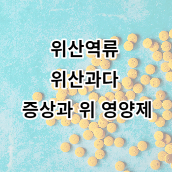 위산역류 위산과다 증상과 위 영양제