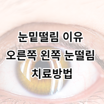 눈밑떨림 이유 오른쪽 왼쪽 눈떨림 치료방법