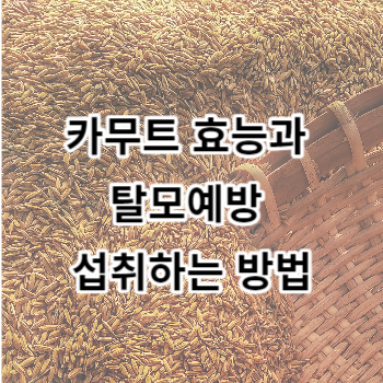 카무트 효능과 탈모예방 섭취하는 방법