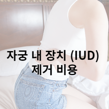 자궁 내 장치 (IUD) 제거 비용