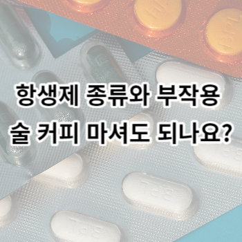 항생제 종류와 부작용 술 커피 마셔도 되나요?