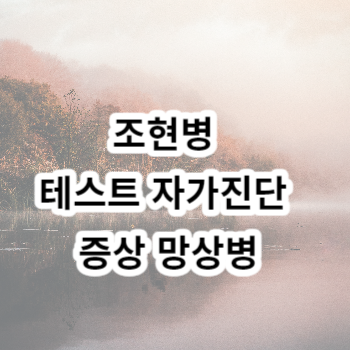 조현병 테스트 자가진단 증상 망상병