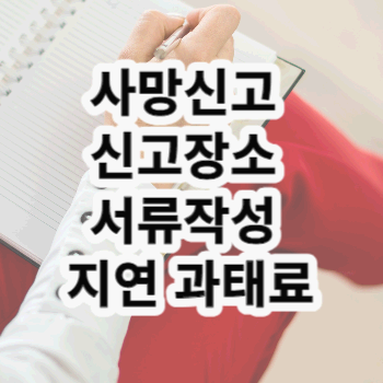 사망신고 신고장소 서류작성 지연 과태료