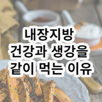 내장지방 생강 건강 효과 지방 빼기