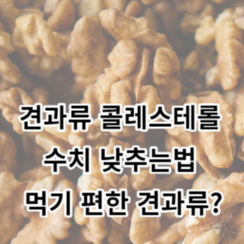 견과류 콜레스테롤 수치 낮추는법 먹기 편한 견과류