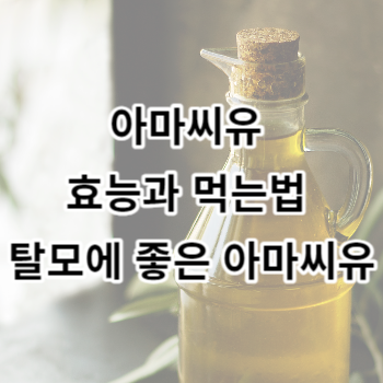 아마씨유 효능과 먹는법 탈모에 좋은 아마씨유