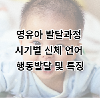 영유아 발달과정 시기별 신체 언어 행동발달 및 특징