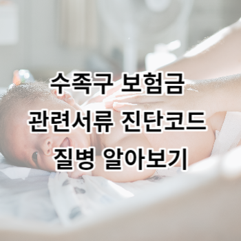 수족구 보험금 관련서류 진단코드 질병 알아보기