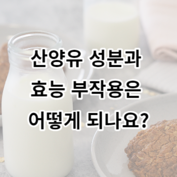 산양유 성분과 효능 부작용은 어떻게 되나요?