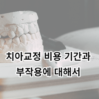 치아교정 비용 기간과 부작용에 대해서 