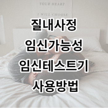 질내사정 임신가능성 임신테스트기 사용방법