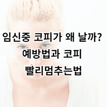 임신중 코피가 왜 날까? 예방법과 코피 빨리멈추는법