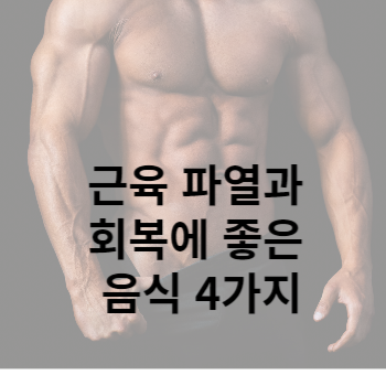 근육 파열과 회복에 좋은 음식 4가지