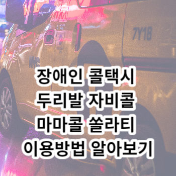 장애인 콜택시 두리발 자비콜 마마콜 쏠라티 이용방법 알아보기