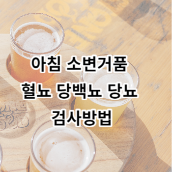 아침 소변거품 혈뇨 당백뇨 당뇨 검사방법