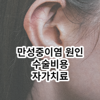 만성중이염 원인 수술비용 자가치료 