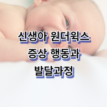 신생아 원더윅스 증상 행동과 발달과정 