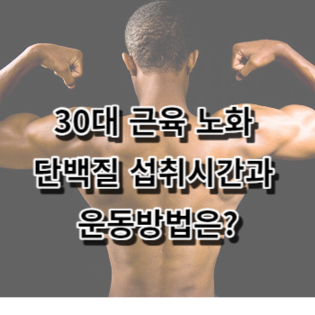 30대 근육 노화 단백질 섭취시간과 운동방법은?