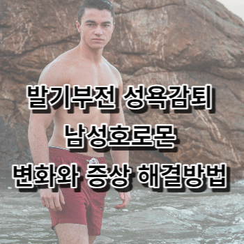 발기부전 성욕감퇴 남성호로몬 변화와 증상 해결방법 