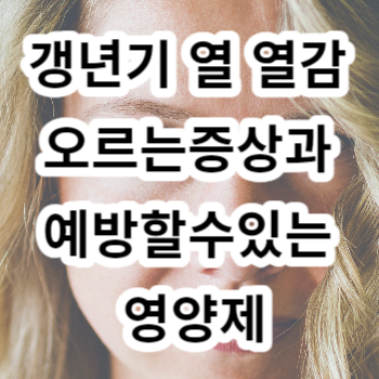 갱년기 열 열감 오르는증상과 예방할수있는 영양제