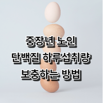 중장년 노인 단백질 하루섭취량 보충하는 방법 