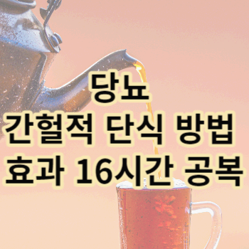 당뇨 간헐적 단식 방법 효과 16시간 공복