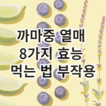 까마중 열매 8가지 효능 먹는 법 부작용