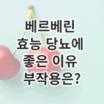 베르베린 효능 당뇨에 좋은 이유 부작용은?