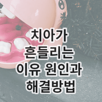 치아가 흔들리는 이유 원인과 해결방법