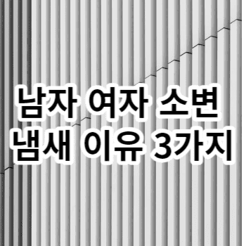 남자 여자 소변 냄새 이유 3가지