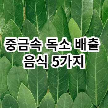 중금속 독소 배출 음식 5가지