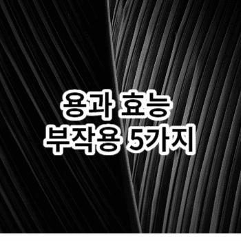 용과 효능 부작용 5가지