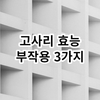 고사리 효능 부작용 3가지