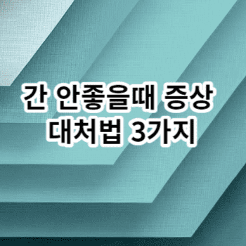 간 안좋을때 증상 대처법 3가지