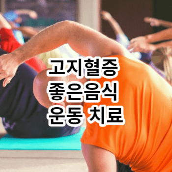 고지혈증 좋은음식 운동 치료