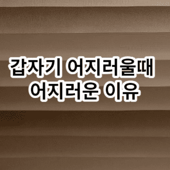 갑자기 어지러울때 어지러운 이유