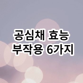 공심채 효능 부작용 6가지