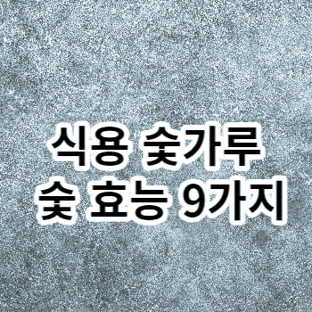 식용 숯가루 숯 효능 9가지