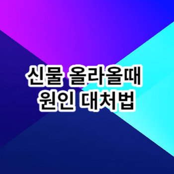 신물 올라올때 원인 대처법