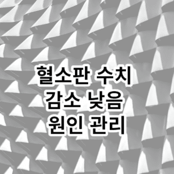 혈소판 수치 감소 낮음 원인 관리