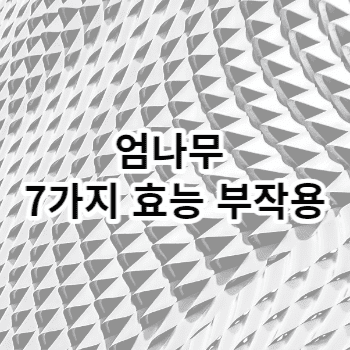 엄나무 7가지 효능 부작용