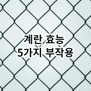 계란 효능 5가지 부작용