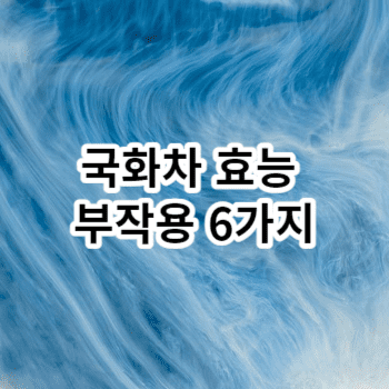 국화차 효능 부작용 6가지